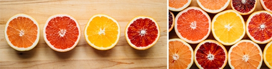 Citrus Slices by Photos by Sara Ehlen